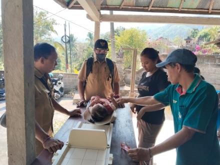 Kegiatan Posyandu Kumara Lalita, Banjar Dinas Yeh Selem, 19 Oktober 2026